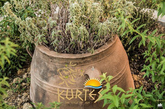 Kurtes
