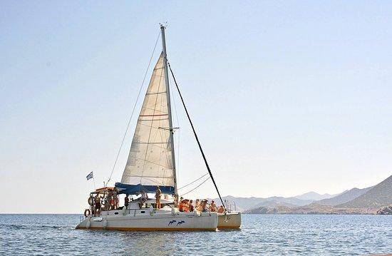 The Skippers