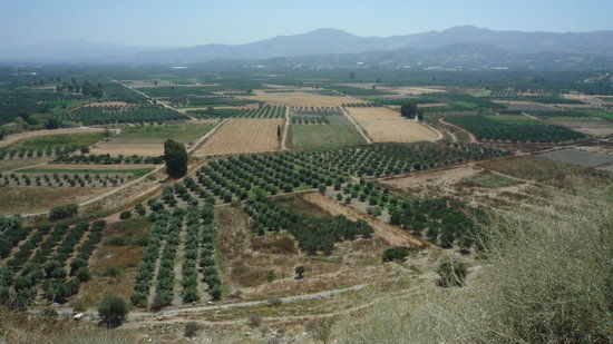 Phaistos