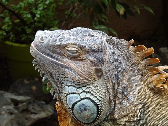 l'Aquaworld di Hersonissos